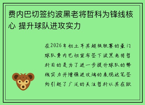 费内巴切签约波黑老将哲科为锋线核心 提升球队进攻实力 费内巴切签约波黑老将哲科为锋线核心 提升球队进攻实力